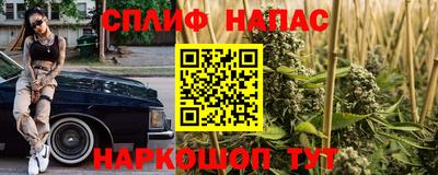 гидра Нарткала