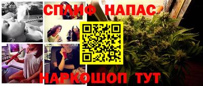 гидра Нарткала