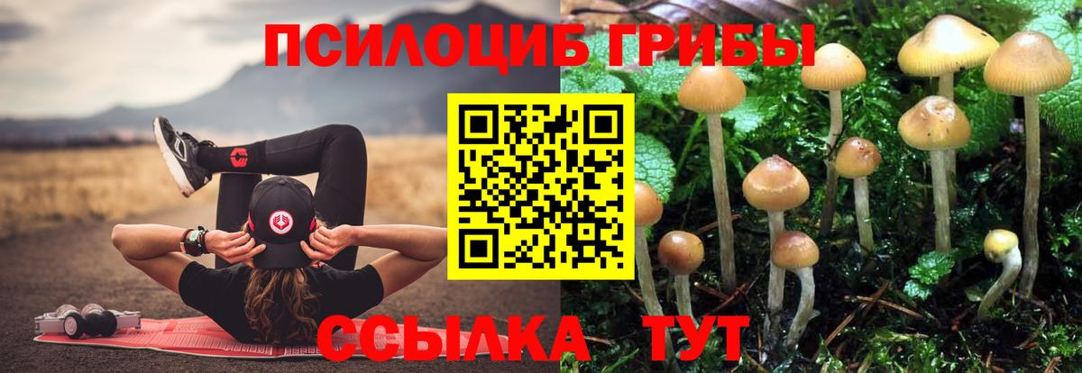 купить закладку  Псилоцибиновые грибы Magic Shrooms  Галлюциногенные грибы GOLDEN TEACHER  Вход с VPN  Советский 